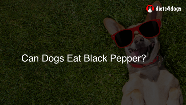 Can Dogs Eat Black Pepper?