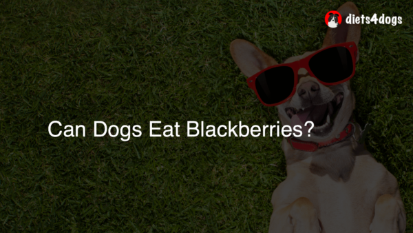 Can Dogs Eat Blackberries?