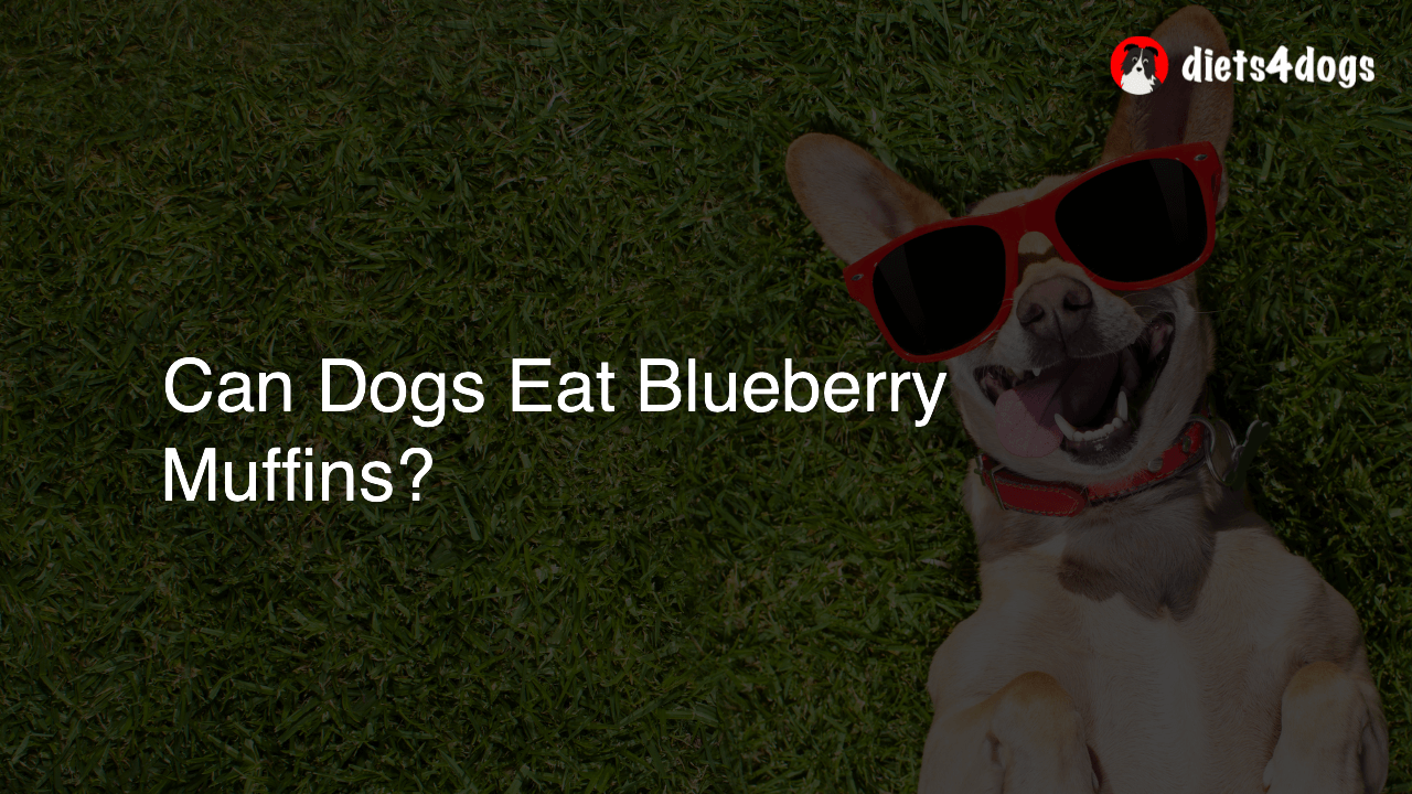 Can Dogs Eat Blueberry Muffins?