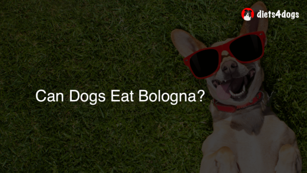 Can Dogs Eat Bologna?