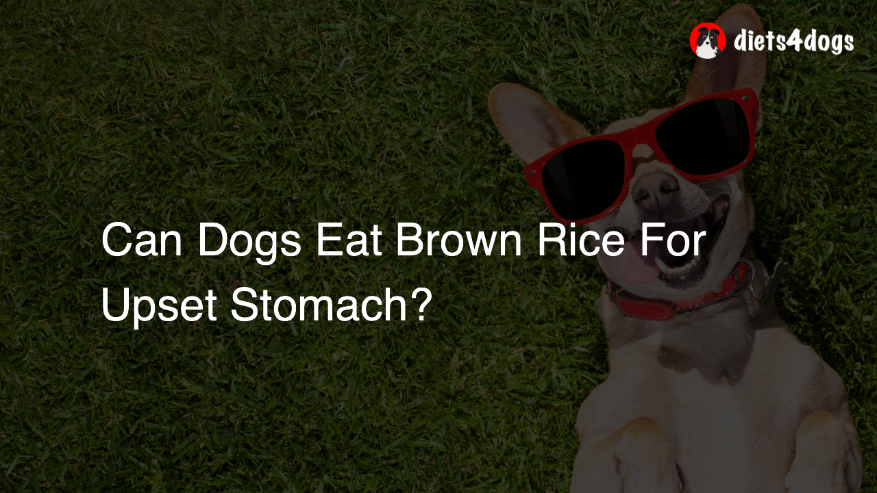 Can Dogs Eat Brown Rice For Upset Stomach?
