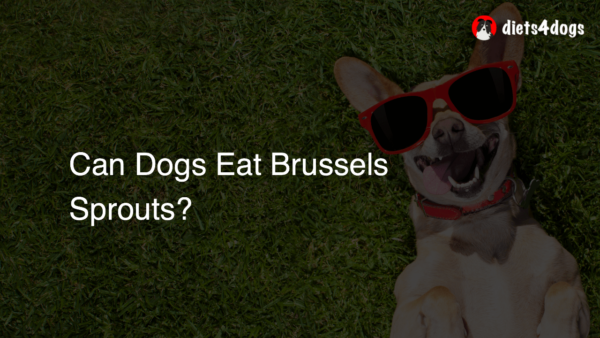 Can Dogs Eat Brussels Sprouts?