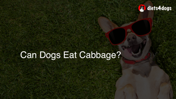 Can Dogs Eat Cabbage?