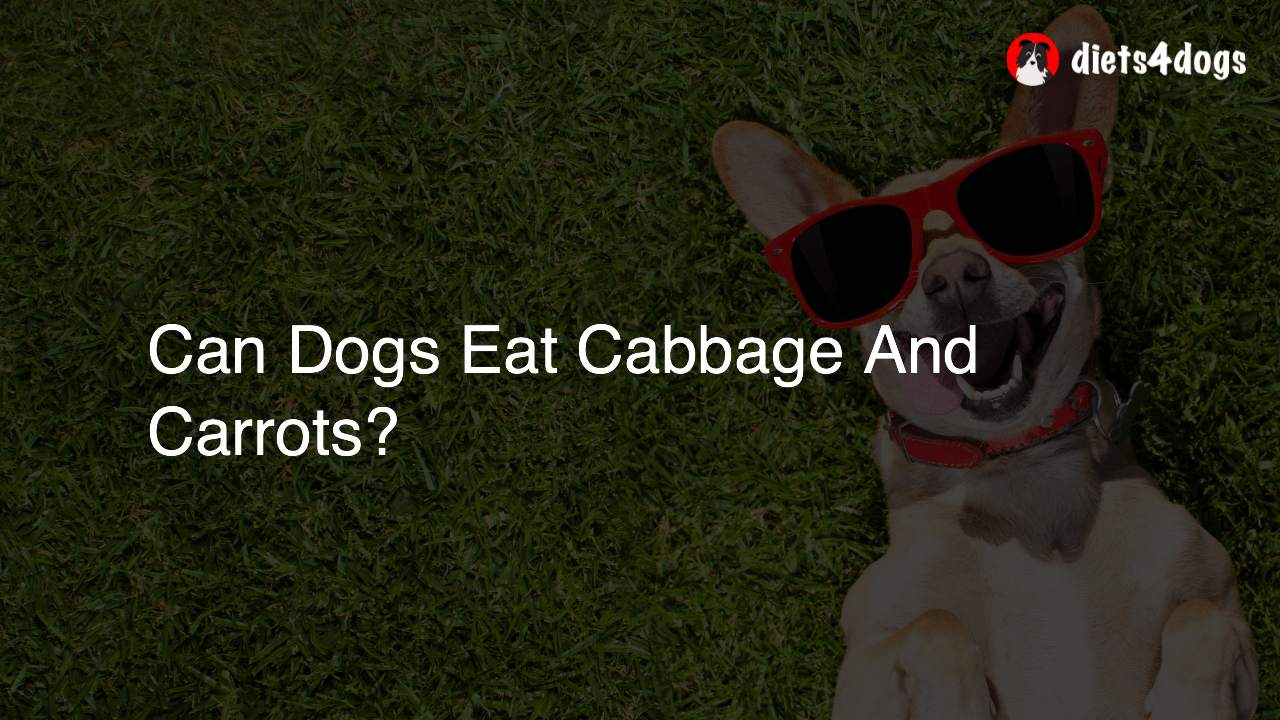 Can Dogs Eat Cabbage And Carrots?
