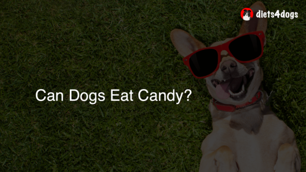 Can Dogs Eat Candy?