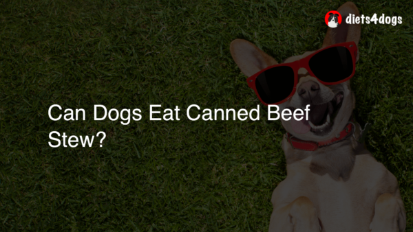 Can Dogs Eat Canned Beef Stew?