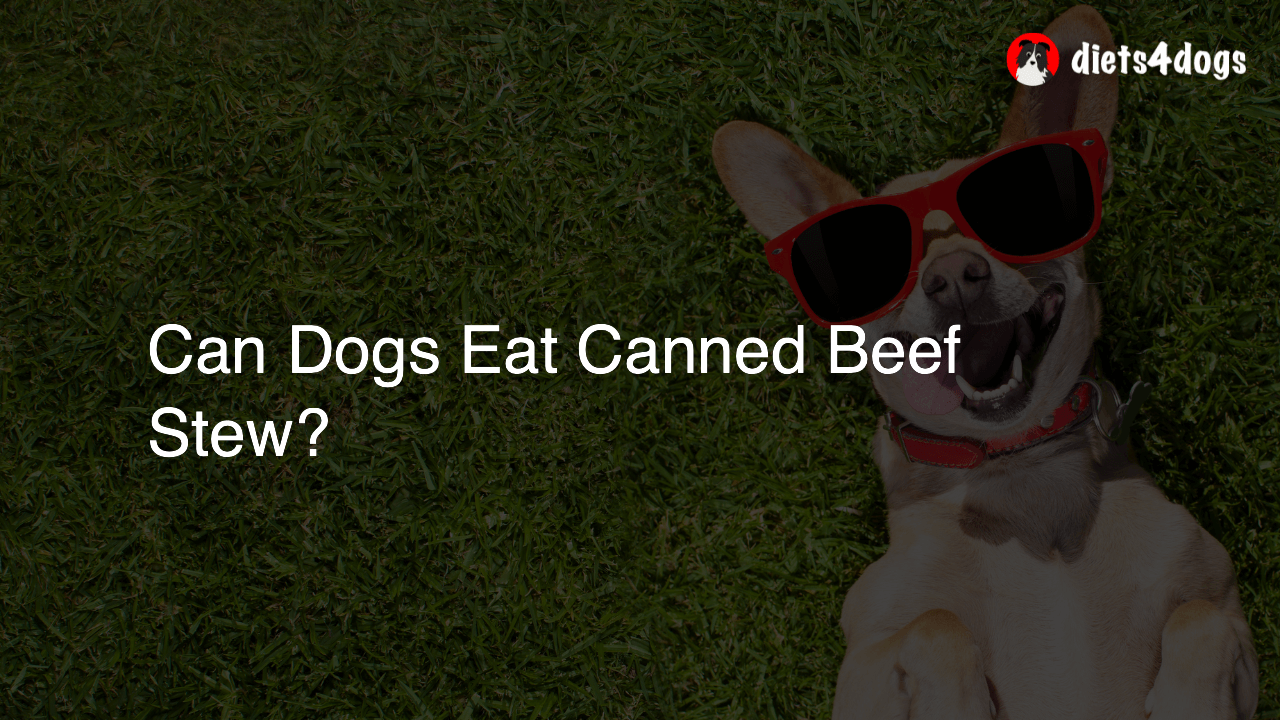 Can Dogs Eat Canned Beef Stew?