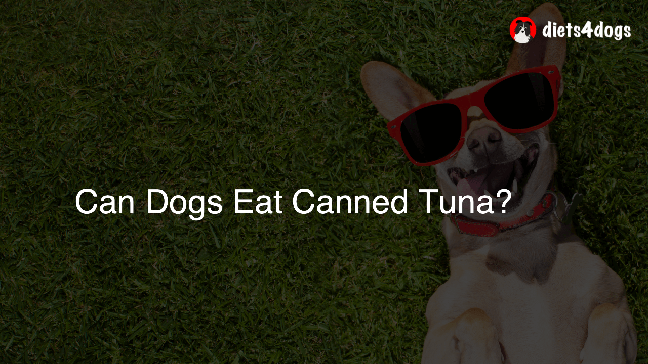 Can Dogs Eat Canned Tuna?