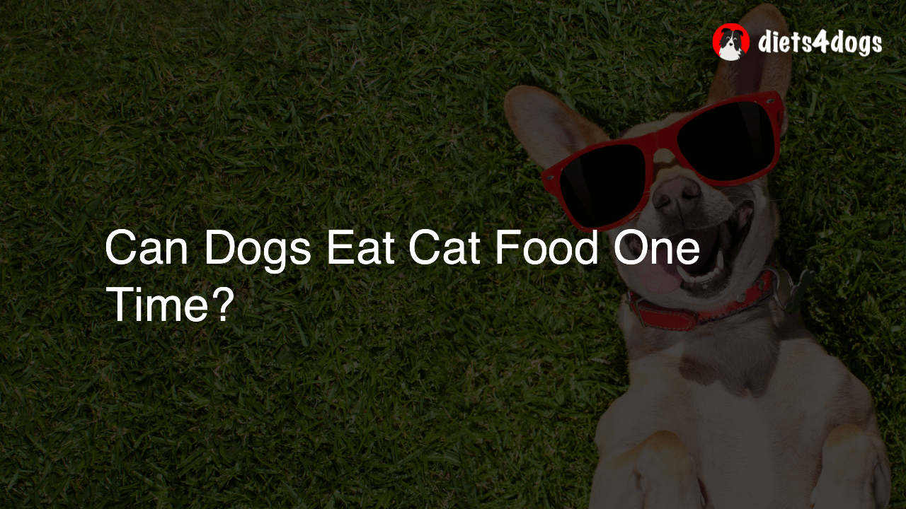 Can Dogs Eat Cat Food One Time?