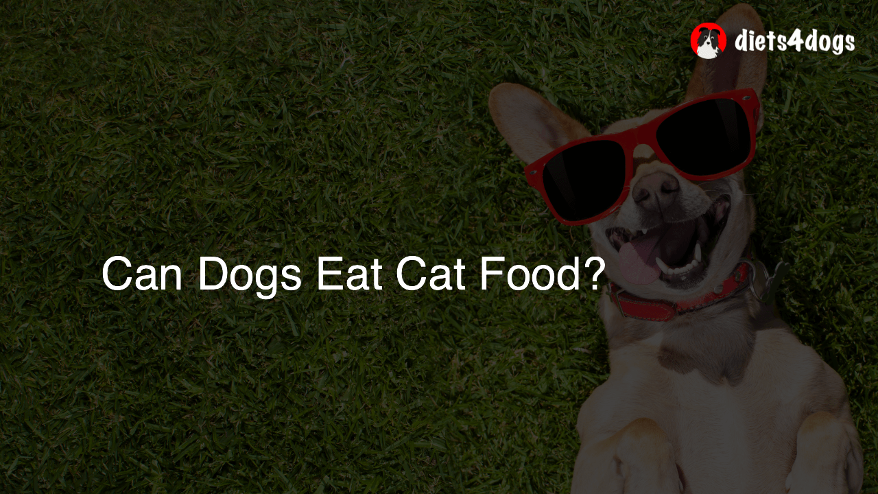 Can Dogs Eat Cat Food?