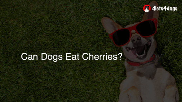 Can Dogs Eat Cherries?