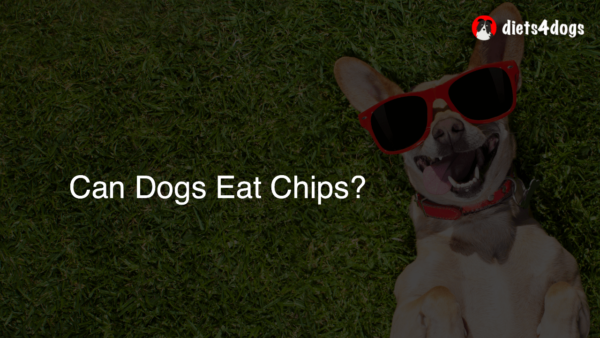 Can Dogs Eat Chips?