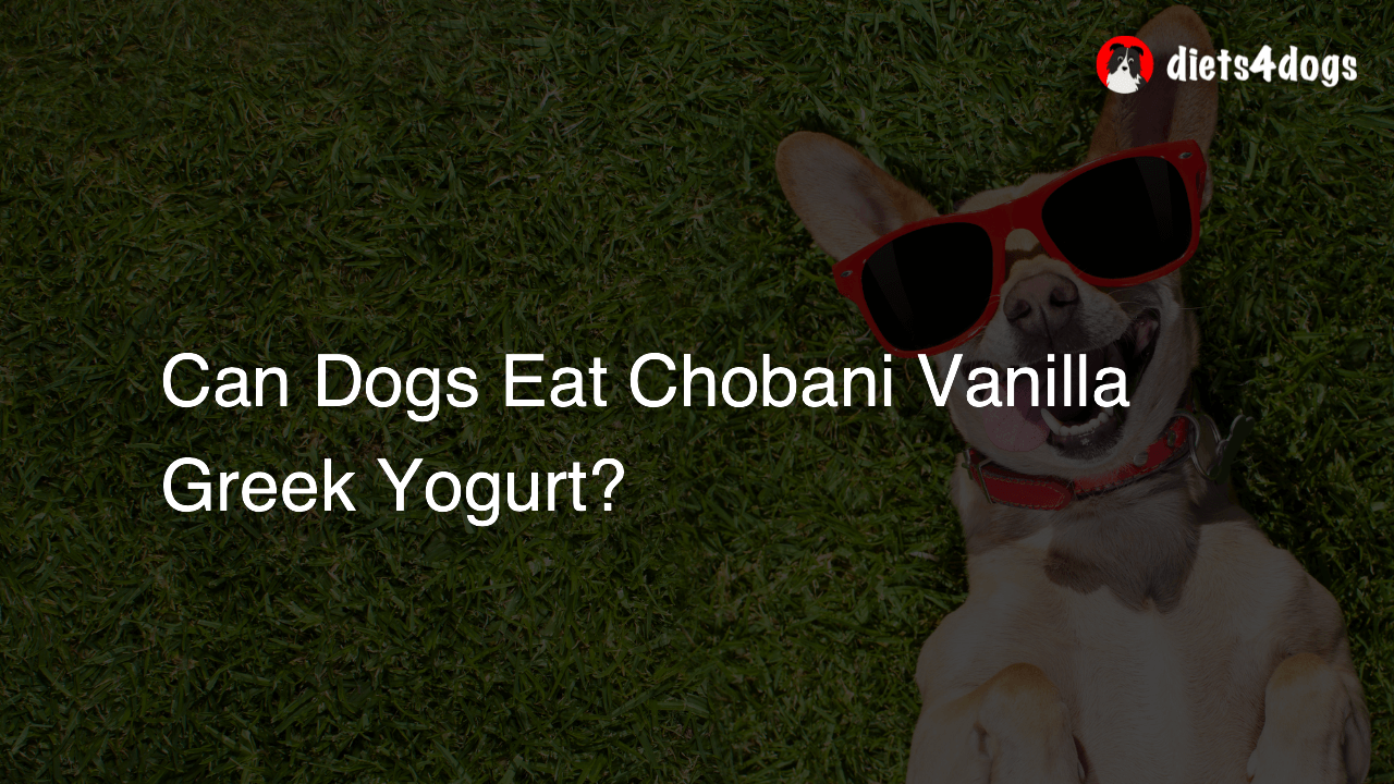 Can Dogs Eat Chobani Vanilla Greek Yogurt?
