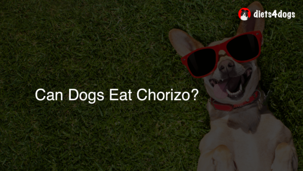 Can Dogs Eat Chorizo?