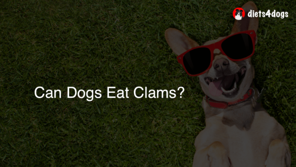 Can Dogs Eat Clams?