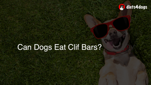 Can Dogs Eat Clif Bars?