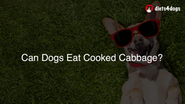 Can Dogs Eat Cooked Cabbage?