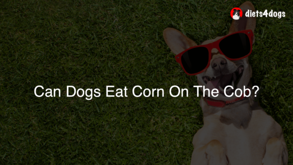 Can Dogs Eat Corn On The Cob?