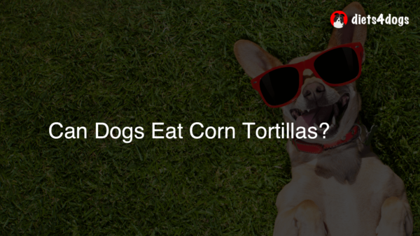 Can Dogs Eat Corn Tortillas?