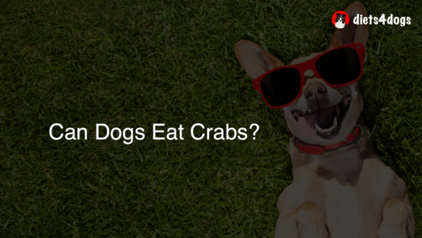 Can Dogs Eat Crabs?