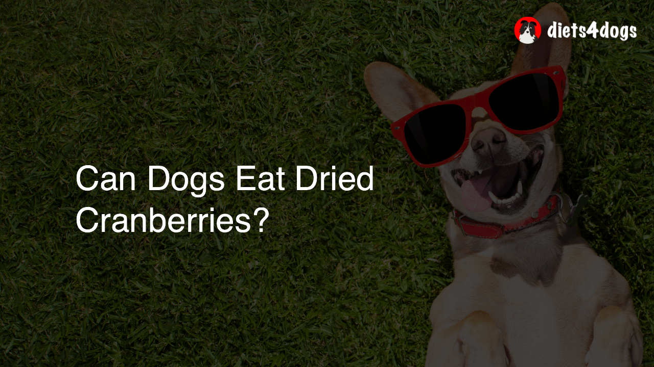 Can Dogs Eat Dried Cranberries?