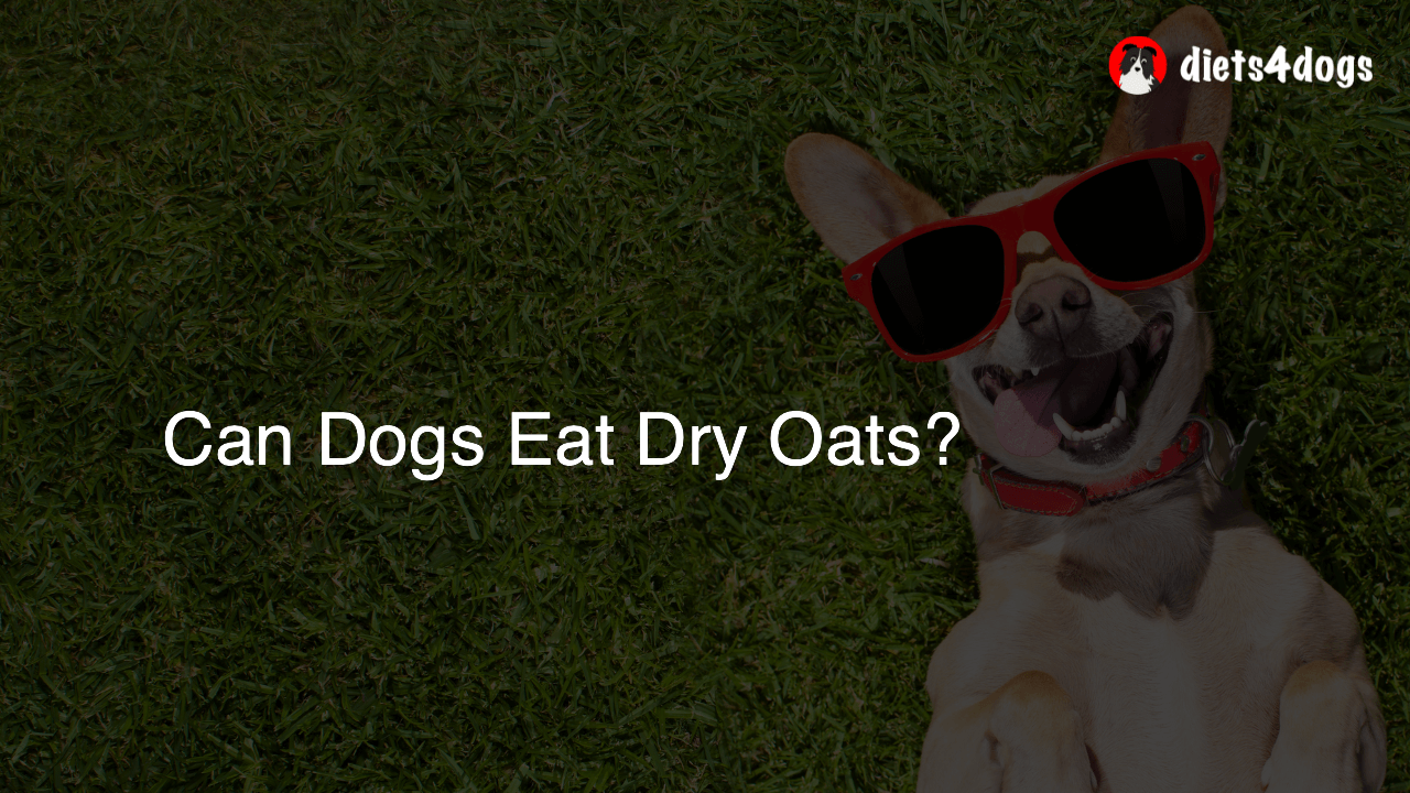 Can Dogs Eat Dry Oats?
