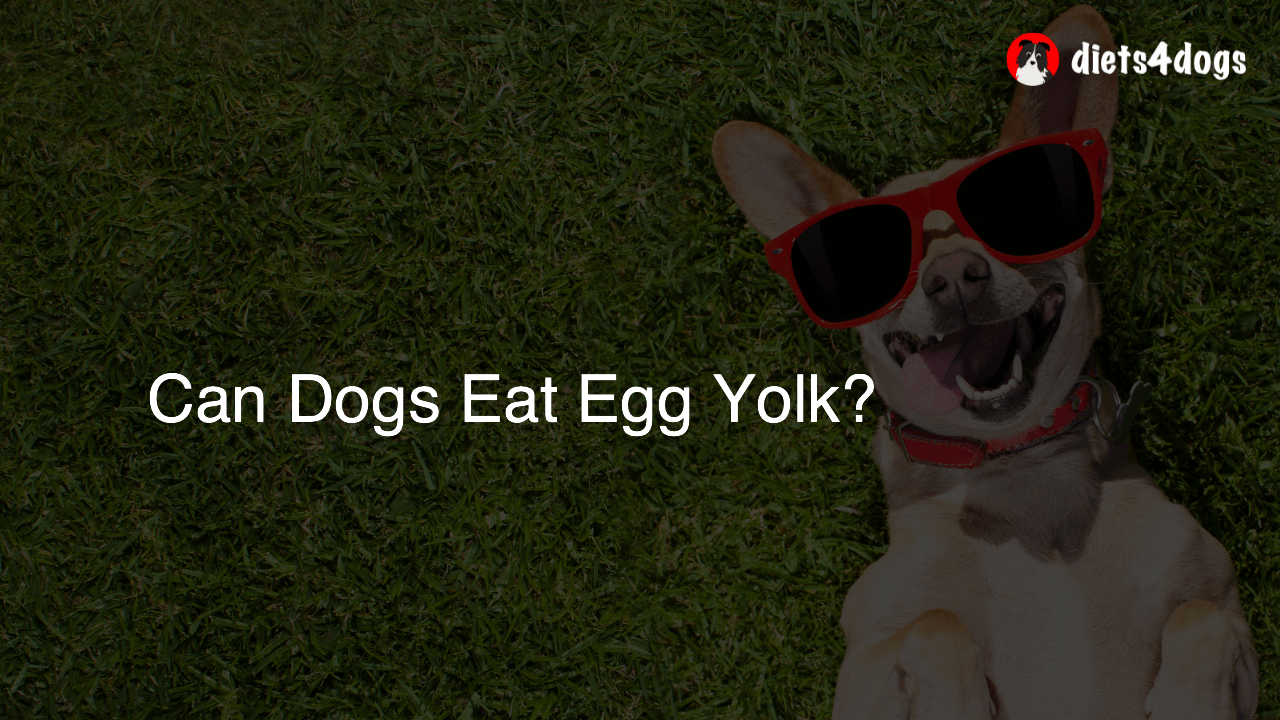 Can Dogs Eat Egg Yolk?