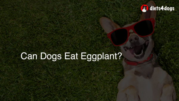 Can Dogs Eat Eggplant?