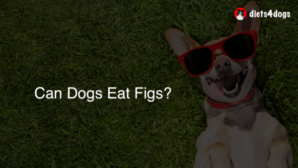 Can Dogs Eat Figs?