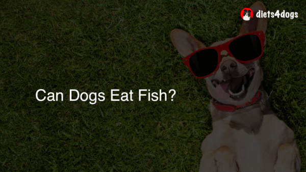 Can Dogs Eat Fish?