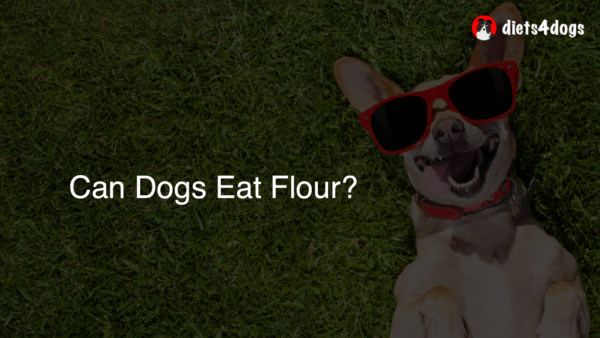 Can Dogs Eat Flour?