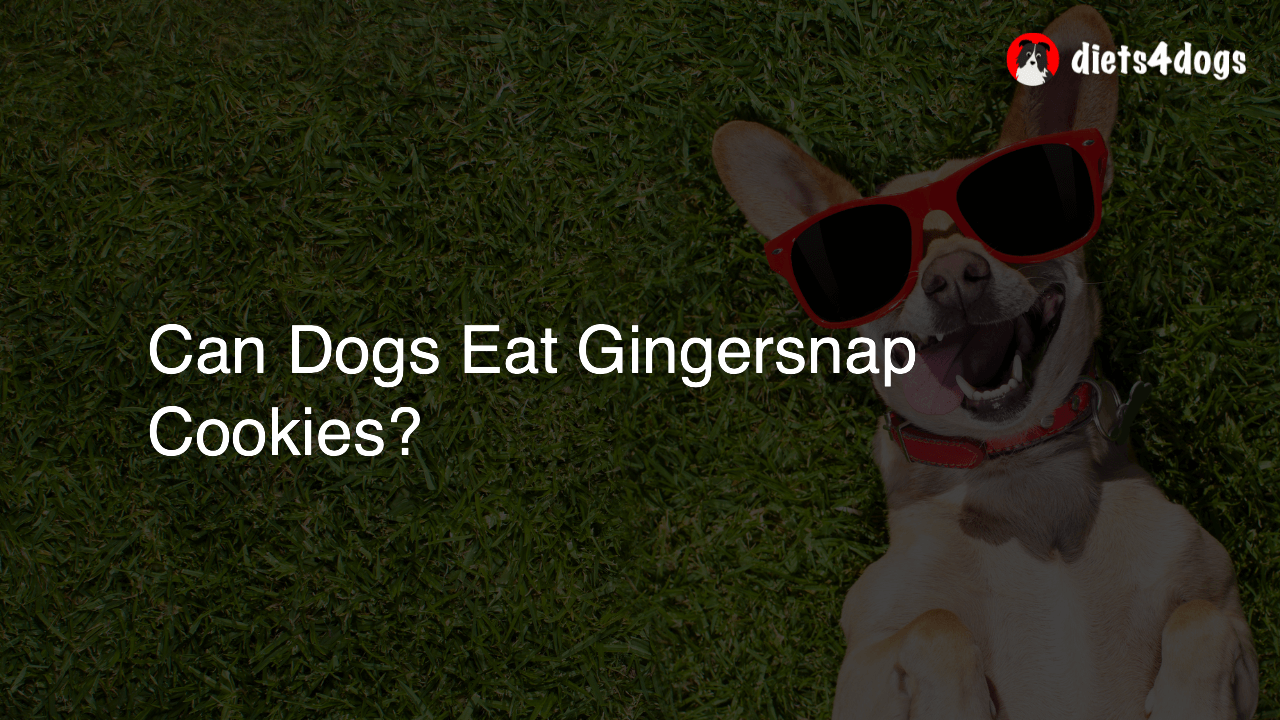 Can Dogs Eat Gingersnap Cookies?