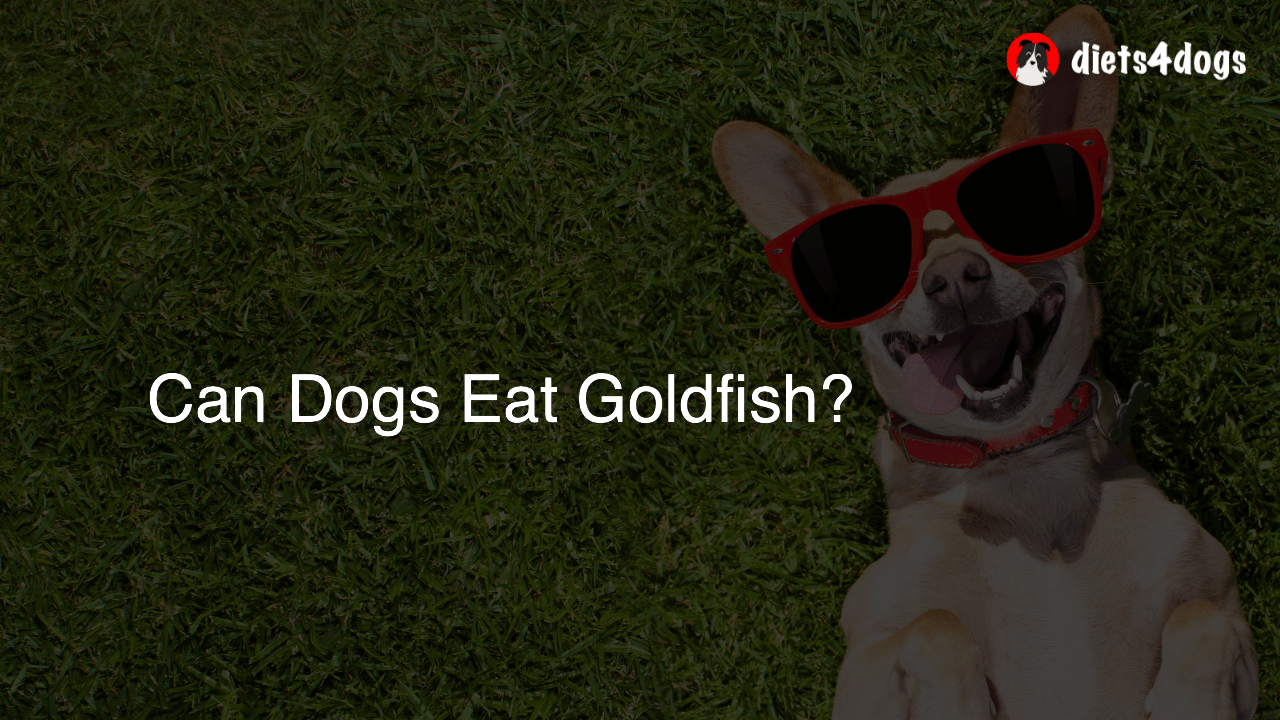 Can Dogs Eat Goldfish?