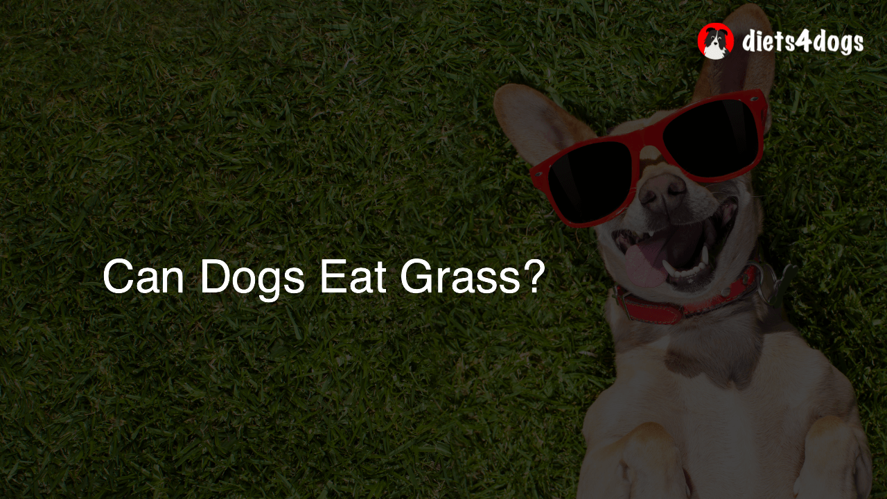 Can Dogs Eat Grass?