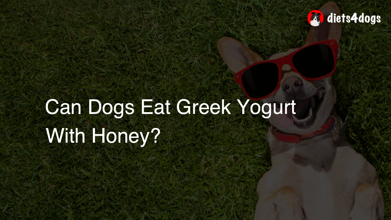 Can Dogs Eat Greek Yogurt With Honey?