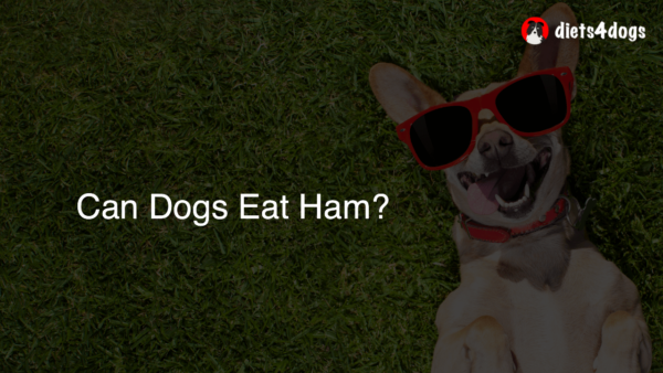 Can Dogs Eat Ham?