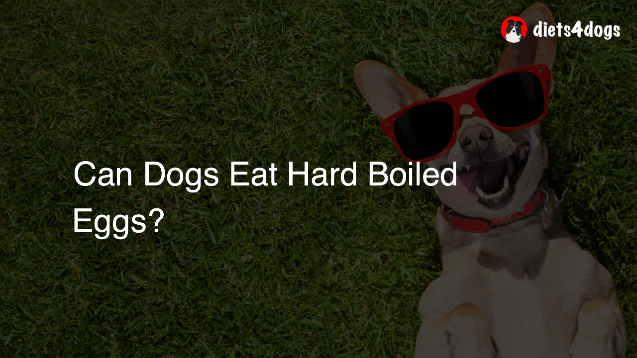 Can Dogs Eat Hard Boiled Eggs?