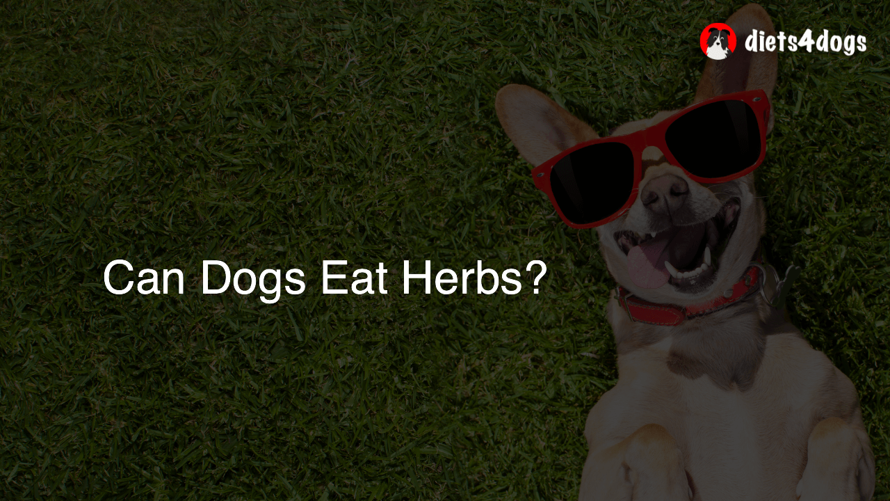 Can Dogs Eat Herbs?