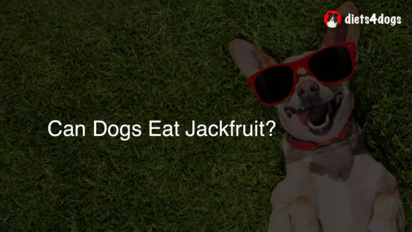 Can Dogs Eat Jackfruit?