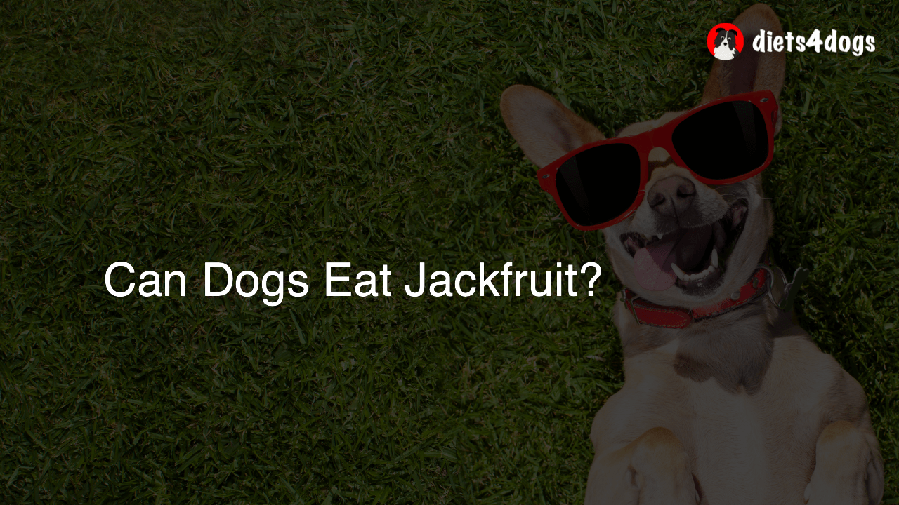 Can Dogs Eat Jackfruit?