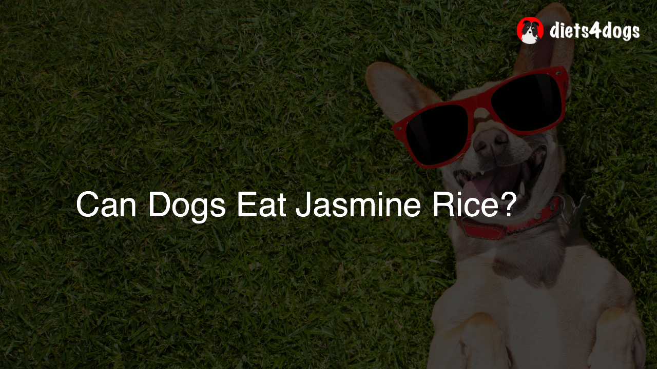 Can Dogs Eat Jasmine Rice?
