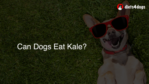 Can Dogs Eat Kale?