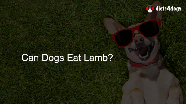 Can Dogs Eat Lamb?