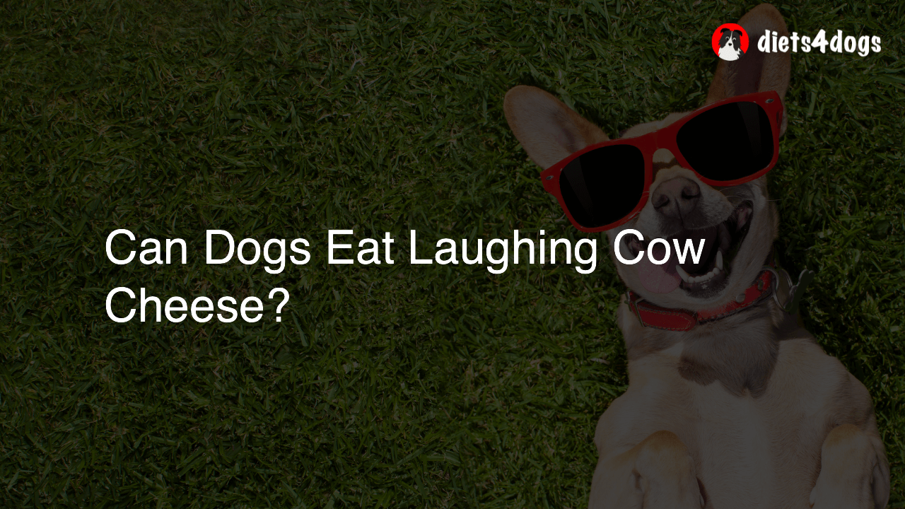 Can Dogs Eat Laughing Cow Cheese?