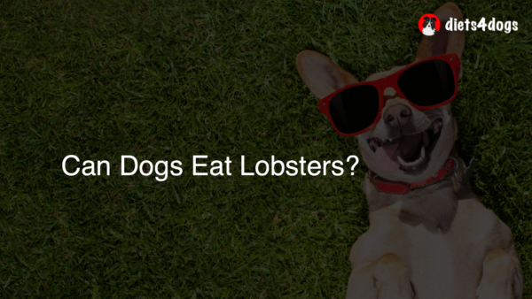 Can Dogs Eat Lobsters?