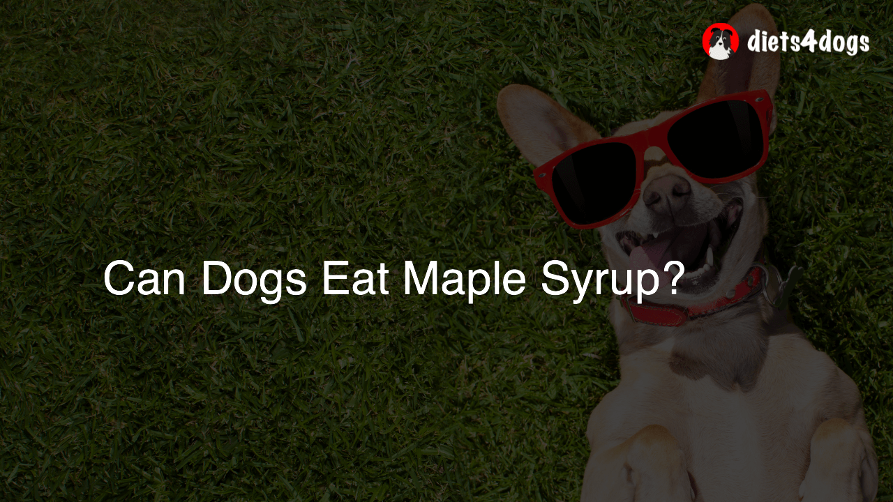 Can Dogs Eat Maple Syrup?