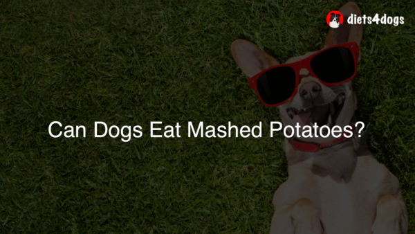 Can Dogs Eat Mashed Potatoes?