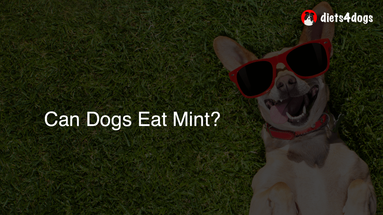 Can Dogs Eat Mint?
