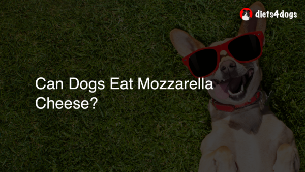 Can Dogs Eat Mozzarella Cheese?