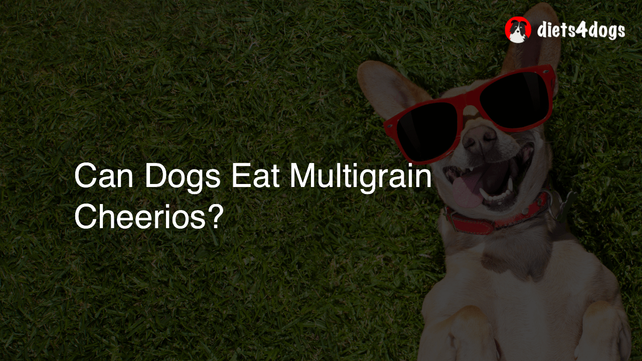Can Dogs Eat Multigrain Cheerios?